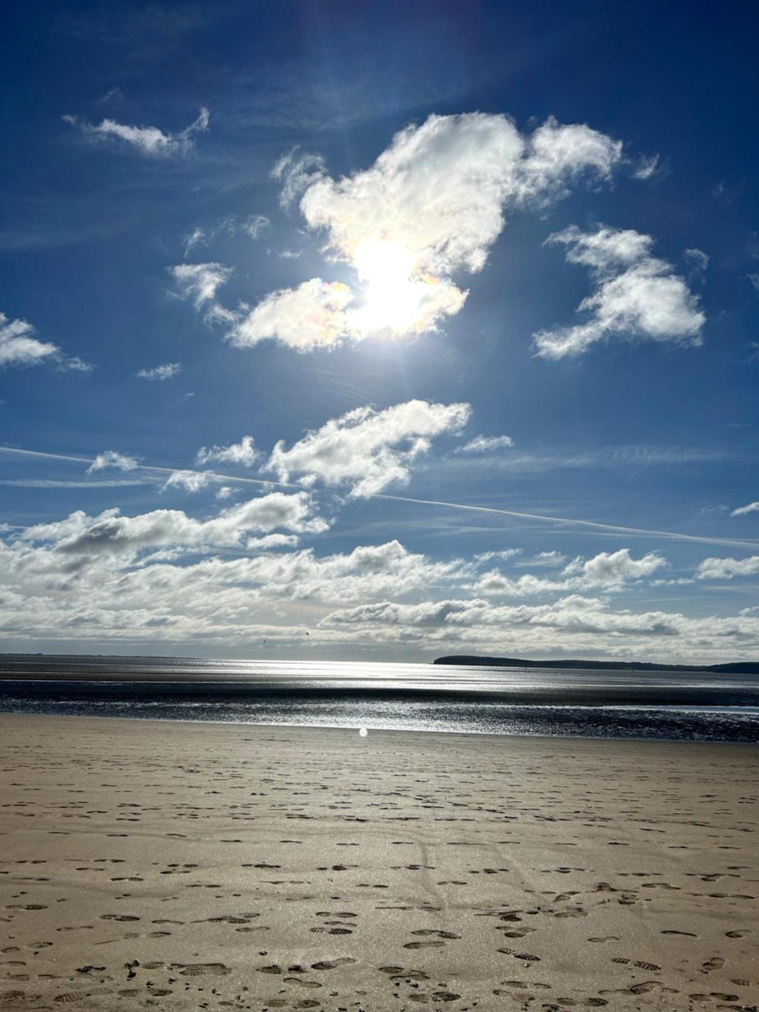 Tobernaglough Wexford Pet Friendly Country B&B Ramsgrange Esterno foto
