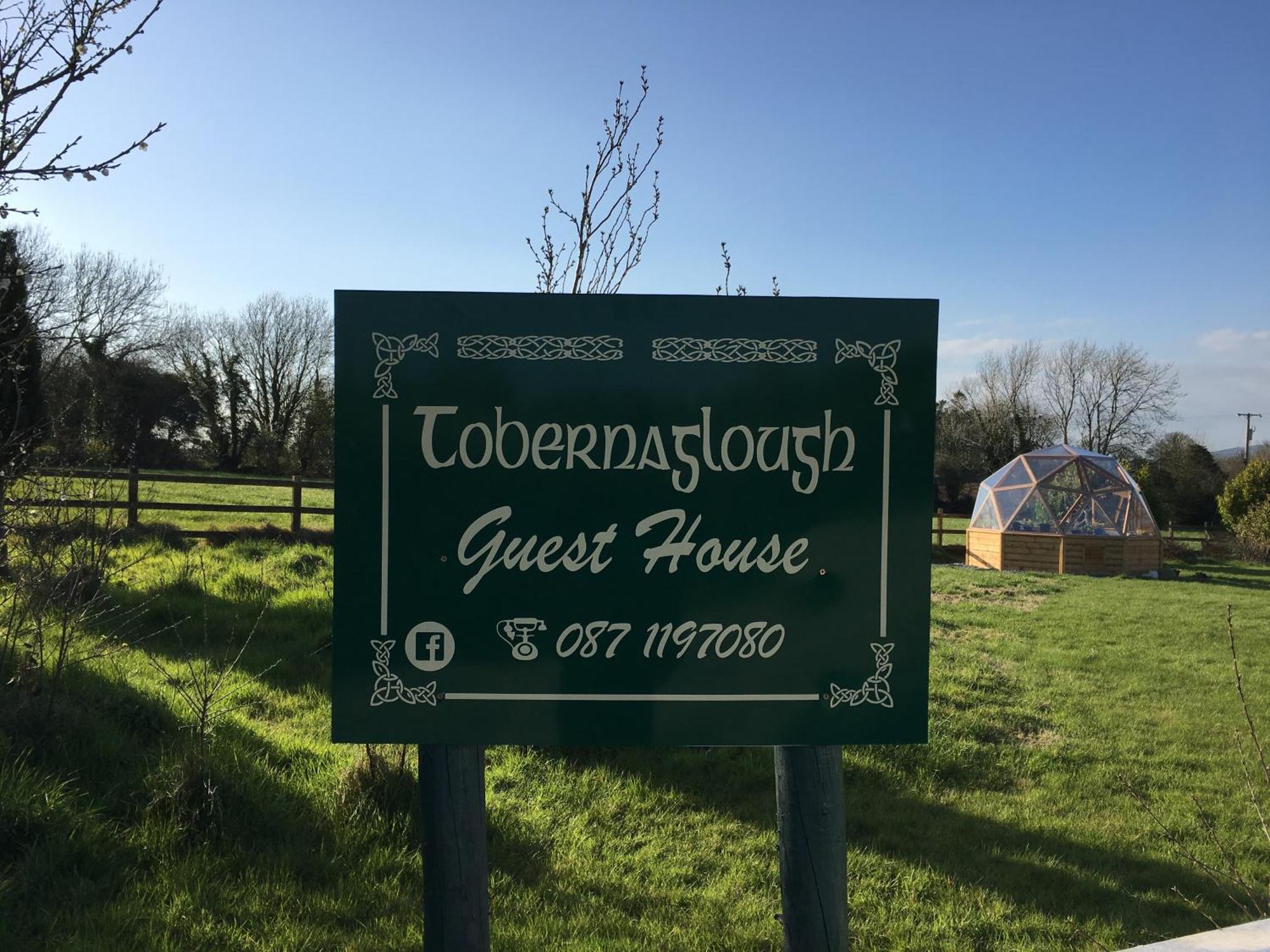 Tobernaglough Wexford Pet Friendly Country B&B Ramsgrange Esterno foto