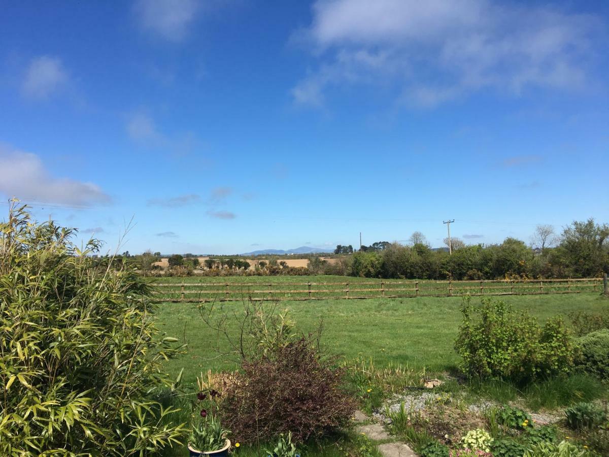 Tobernaglough Wexford Pet Friendly Country B&B Ramsgrange Esterno foto