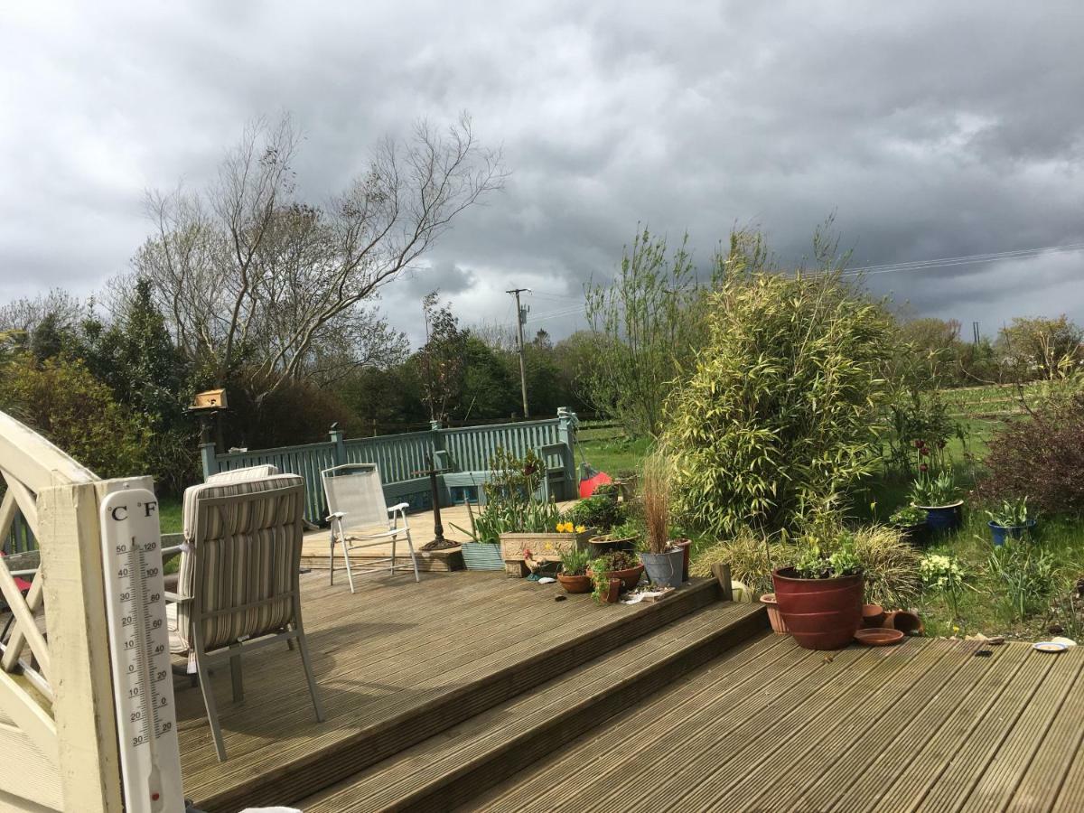 Tobernaglough Wexford Pet Friendly Country B&B Ramsgrange Esterno foto