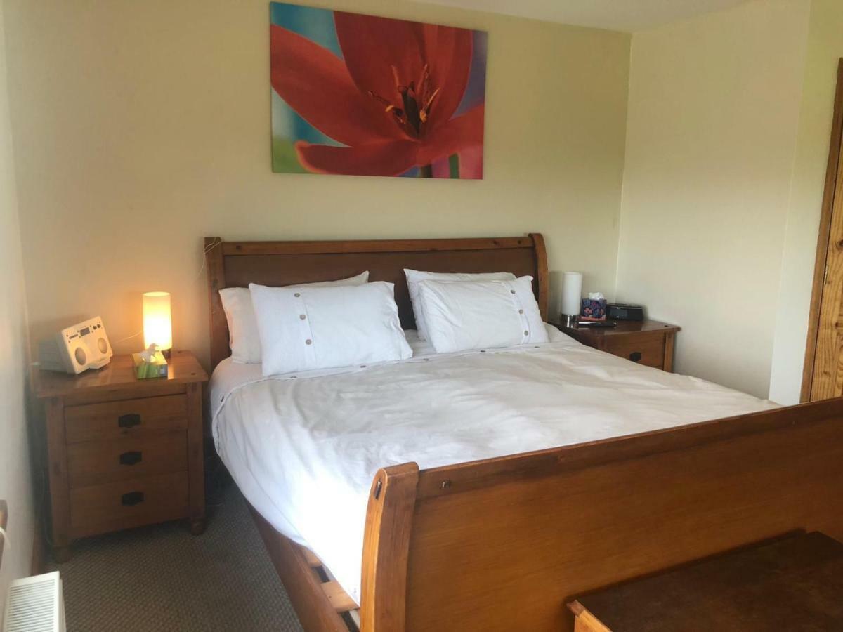 Tobernaglough Wexford Pet Friendly Country B&B Ramsgrange Esterno foto