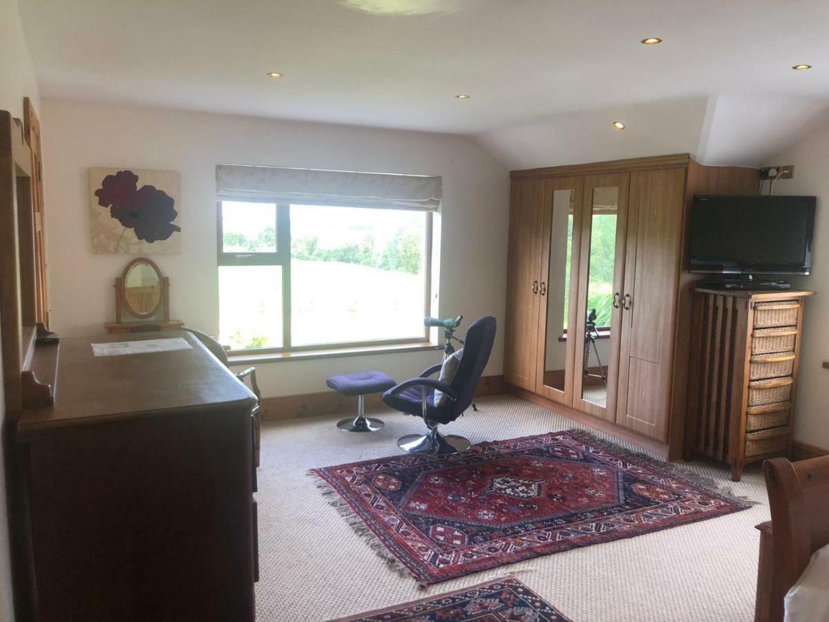 Tobernaglough Wexford Pet Friendly Country B&B Ramsgrange Esterno foto