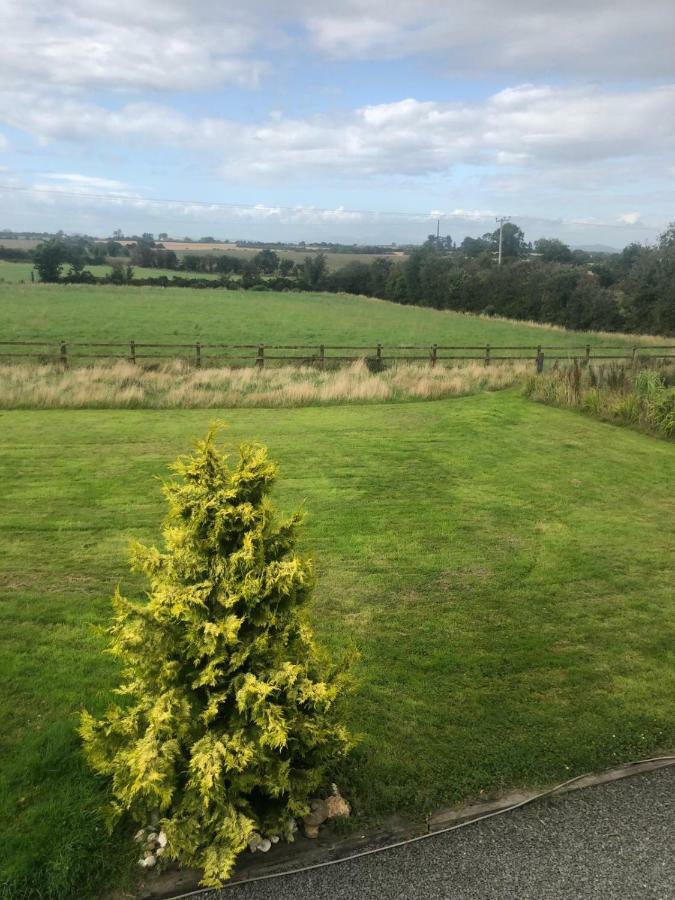 Tobernaglough Wexford Pet Friendly Country B&B Ramsgrange Esterno foto