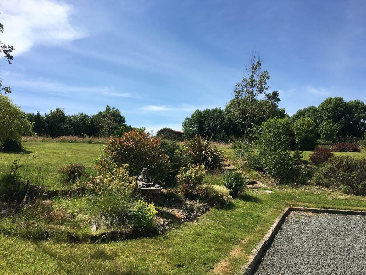 Tobernaglough Wexford Pet Friendly Country B&B Ramsgrange Esterno foto