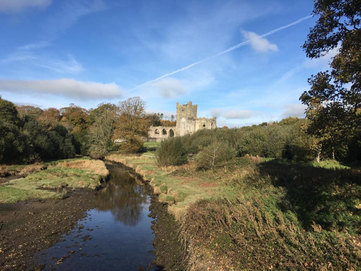Tobernaglough Wexford Pet Friendly Country B&B Ramsgrange Esterno foto
