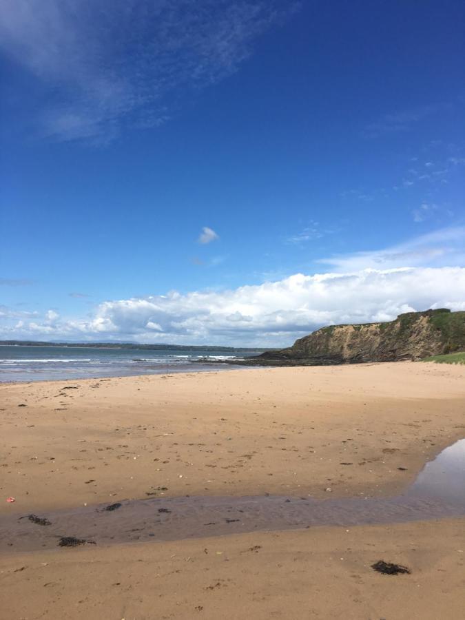 Tobernaglough Wexford Pet Friendly Country B&B Ramsgrange Esterno foto